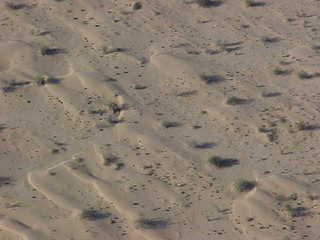 Sand dunes west of Yuma 4