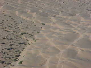 Sand dunes west of Yuma 5