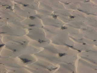 Sand dunes west of Yuma 3