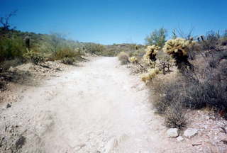 Lake Havasu City, London Bridge 1