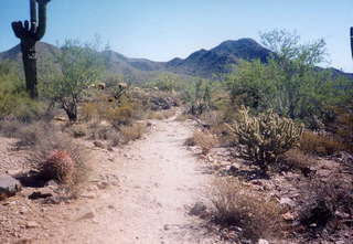 Lake Havasu City, London Bridge 4