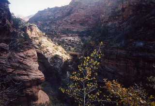 Zion National Park