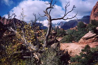 McDowell Mountains, Sunrise Trail 4