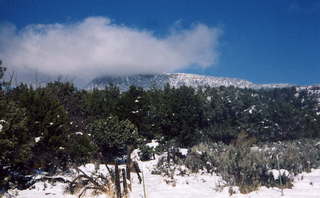 McDowell Mountains, Sunrise Trail 1