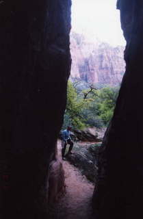 Zion National Park, Adam in narrow path