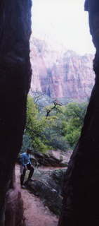 Zion National Park, Adam in narrow path (zoom)