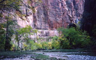 Virgin River in Arizona