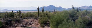 Sunrise Trail, saguaro and distant mountains (zoom)