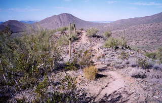 Sunrise Trail 1