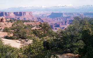 Canyonlands National Park - Buck Canyon Overlook