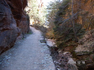 Zion National Park -- upper drive