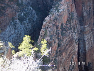 Zion National Park -- Adam -- Angel's Landing