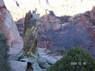 Zion National Park -- Angel's Landing