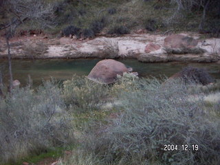 Zion National Park -- Pa'rus trail -- Virgin River