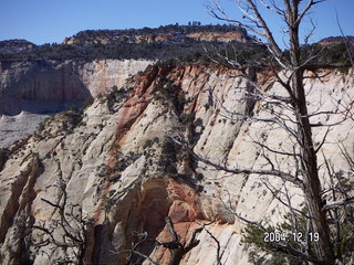 Zion National Park -- Observation Point