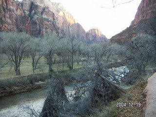 Zion National Park -- Virgin River