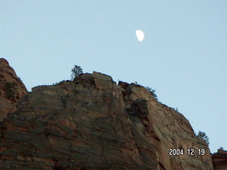 Zion National Park -- Emerald Ponds