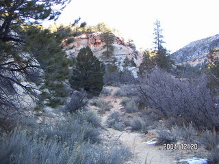 Zion National Park -- East Rim trail