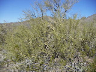 Sunrise Trail and hikers