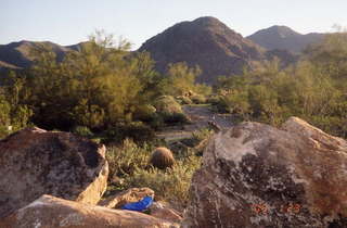 Lost Dog Wash trailhead