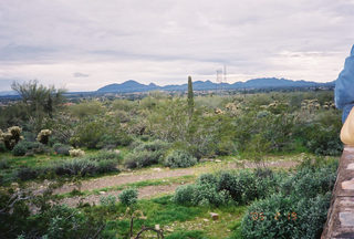 Taliesin West (Frank Lloyd Wright)