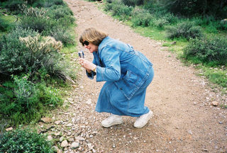 Sonoran Desert -- Liliana