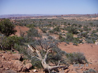 Arches National Park