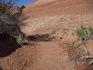 Arches National Park