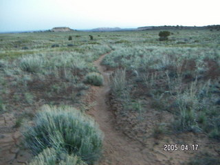 Canyonlands National Park -- Lathrop Trail