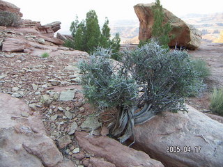 Canyonlands National Park -- Lathrop Trail