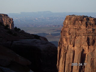 Canyonlands National Park -- Lathrop Trail -- red flowers