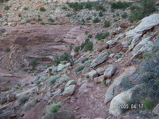 Canyonlands National Park -- Lathrop Trail