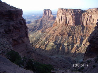 Canyonlands National Park -- Lathrop Trail -- white flower