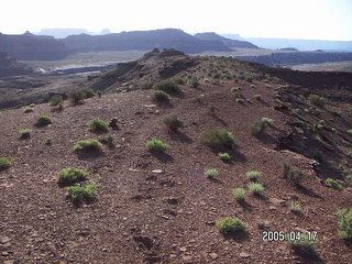 Canyonlands National Park -- Lathrop Trail