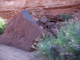 Canyonlands National Park -- Lathrop Trail