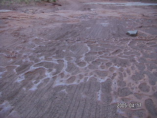 Canyonlands National Park -- Lathrop Trail -- Adam at the Colorado River