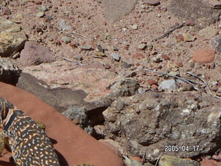 Pima Air and Space Museum