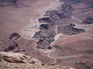 Canyonlands National Park -- Lathrop Trail -- part of a lizard