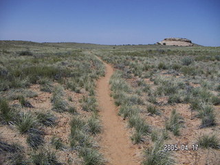 Canyonlands National Park -- Lathrop Trail