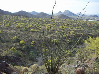 Lost Dog Wash trailhead