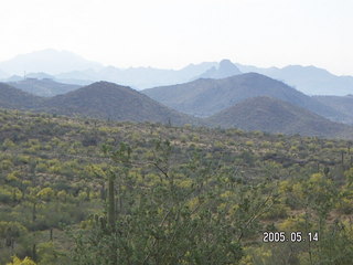 Lost Dog Wash -- Ringtail -- Superstition Mountains