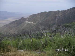 hills and burnt trees near Julian, California