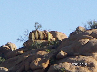 Bagdad, Arizona, run