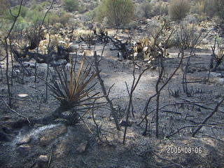 Bagdad, Arizona, run