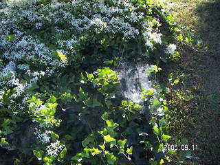 Dave Ginsberg taking a picture