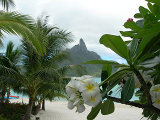 Tim and Dana Higel in Bora Bora