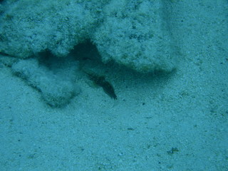 Tim and Dana Higel in Bora Bora