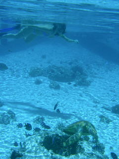 Tim and Dana Higel in Bora Bora