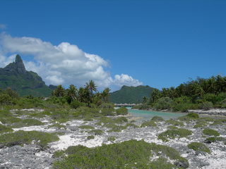 Tim and Dana Higel in Bora Bora