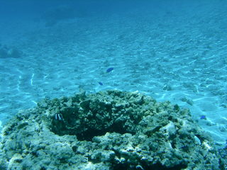 Tim and Dana Higel in Bora Bora